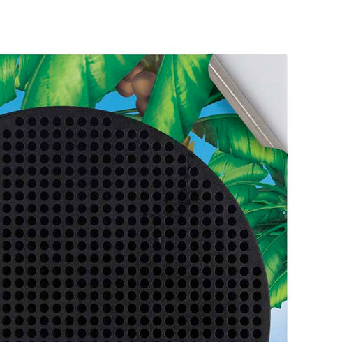 Looney Tunes Tweety Bird Ipod Xbox Series S Console Skin